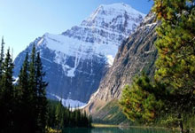 东升国际：国羽男单的希望，18岁的刘洋名宇又夺冠了，本月已连拿3冠.