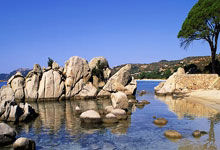 东升国际：王雅繁晋级澳网女单第二轮人民日报客户端.